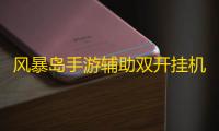 风暴岛手游辅助双开挂机 守船攻略